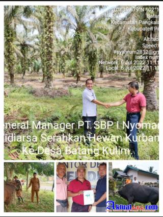 PT.SBP Salurkan Hewan Qurban Kepada Desa Sekitar Operasional Perusahaan