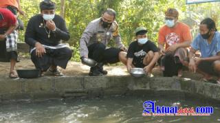 Kapolres Gianyar Tebar 2000 Benih Ikan Nila dan 2000 Benih Ikan Lele di Desa Mas Ubud