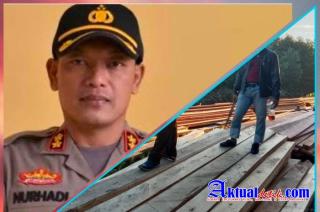 Pers temukan Ilegal Logging di Rohil, Diduga Melibatkan Oknum, Kapolres Rohil Blokir WA