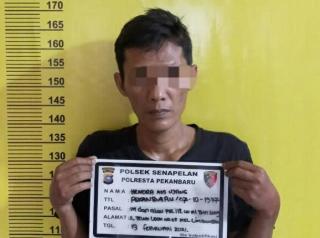 Polsek Senapelan Tangkap Seorang Tersangka Pengedar Sabu di Kampung Dalam