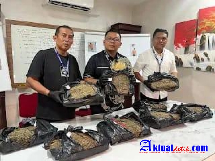 Satuan Reserse Narkoba Polrestabes Medan Mengamakan Bandar Narkoba Jenis Ganja