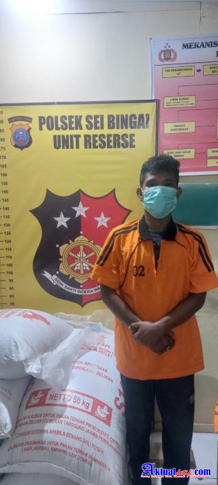 Polsek Sei Bingai Amankan Pelaku Pencurian Terhadap Pakan Ternak Di Desa Gunung Ambat