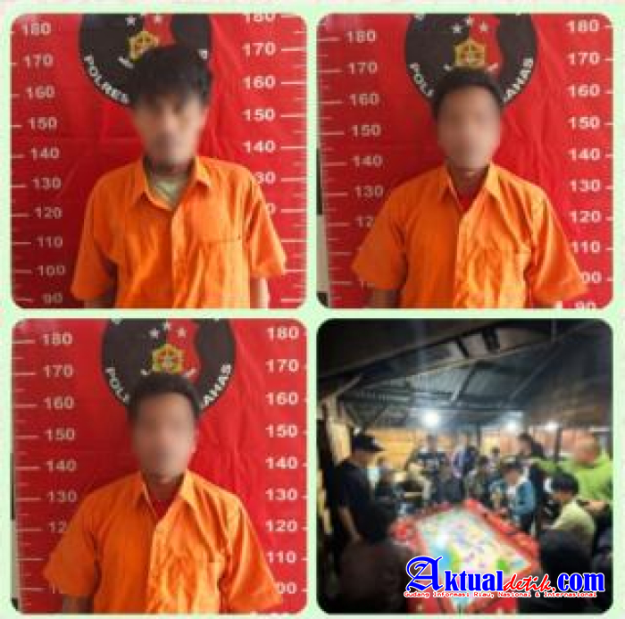 Polres Humbahas Ringkus Tiga Orang Pelaku Diduga Penyedia tempat sekaligus pemilik warung.