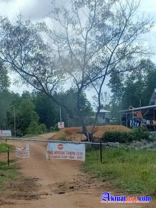 Waduh! Usaha Tambak Udang Ini Beroperasi Di Kawasan Hutan Lindung