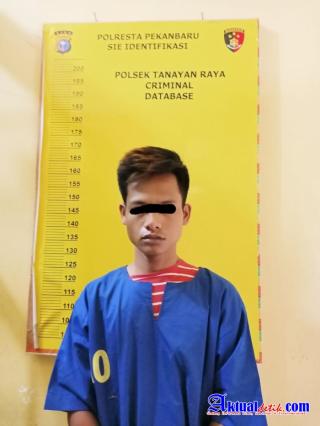 Ternyata Pelaku Pencurian Tetangga Sendiri, Pelaku Telah Diamankan Polsek Tenayan Raya