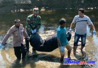 Penemuan Mayat Tanpa Identitas di Dewantara, Kapolsek Turun Langsung ke TKP