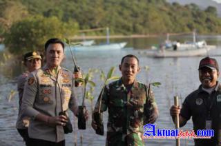Ribuan Pohon Bakau Ditanam Untuk Penghijauan Hutan Mangrove di Kabupaten Buleleng