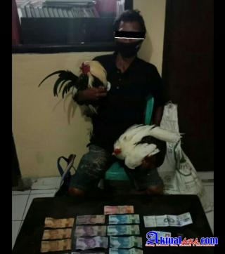Spesialis Pencuri Ayam di Bekuk Unit Reskrim Polsek Sidemen