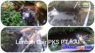 PKS PT. KAI Siak Terbukti Buang Limbah Tanpa Izin, Penggiat Lingkungan Sebut, Tutup dan Tindak Tegas