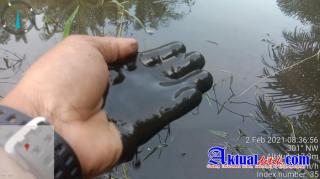 PT Indosawit Pelalawan Diduga Cemari Sungai