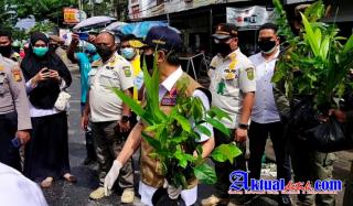 Gubernur Riau Bagikan 12.000 Bibit Buah-buahan