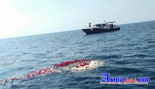Penghormatan Kepada Prajurit Terbaik KRI Nanggala 402 yang Gugur