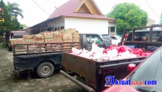 Pakar Hukum Sebut, Bawahan Gubernur Riau, Jonli, Menerima Gratifikasi Dan Pungli